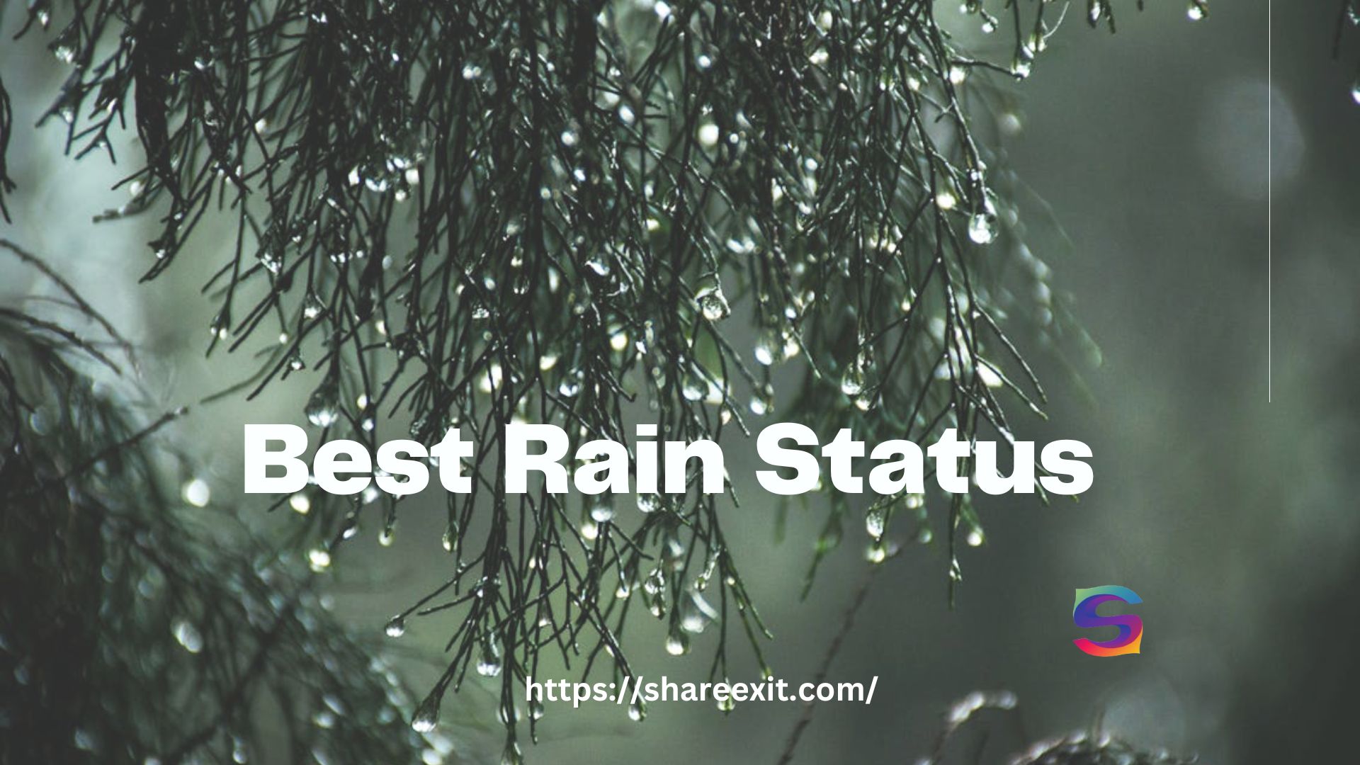 Best Rain Status