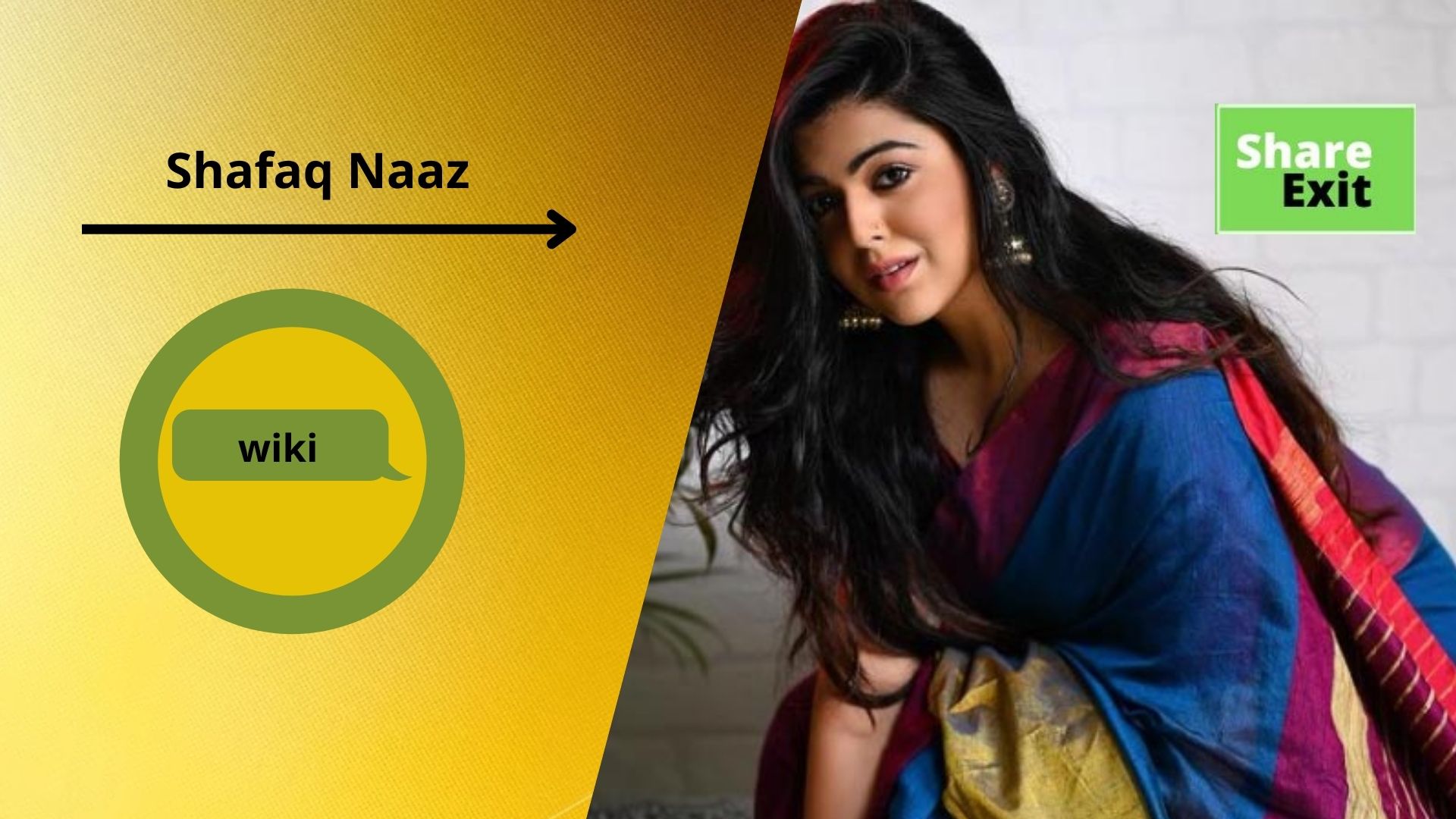 Shafaq Naaz Biography